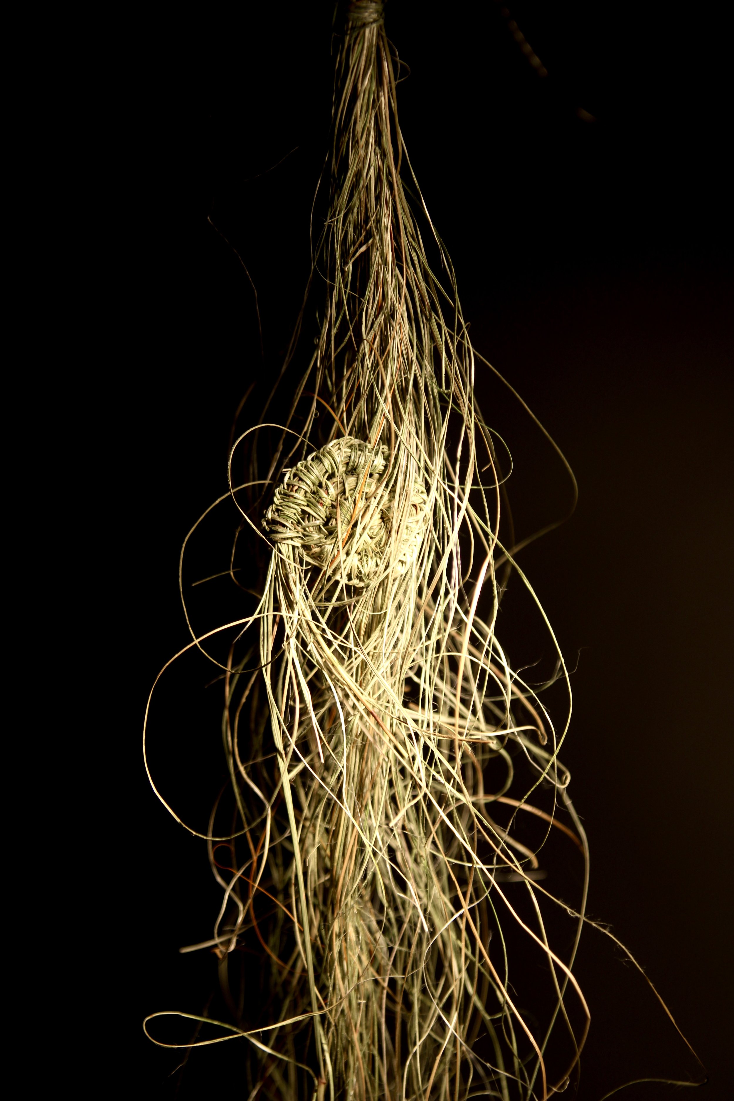 Hanging threads - Flax and grass. Rachel Attfield 2023