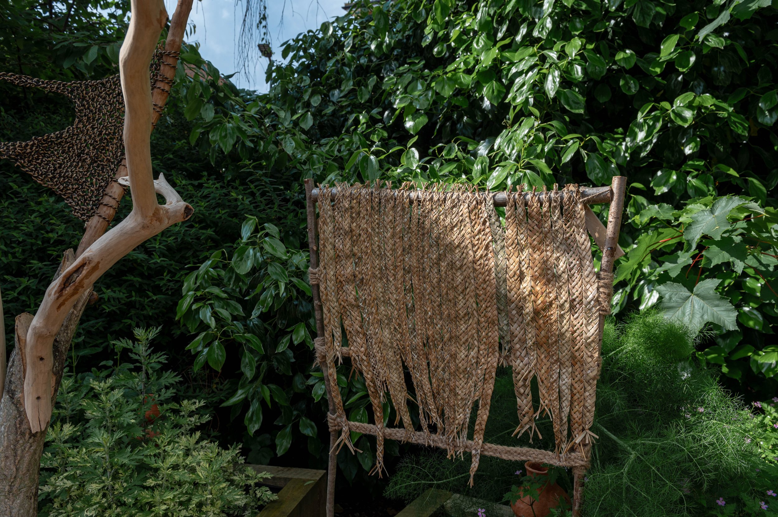Divider - New Zealand Flax Plaited. Rachel Attfield 2024