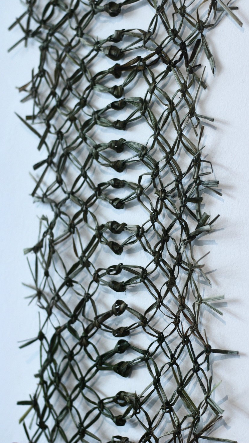 Wrapped - Lilyturf. Rachel Attfield 2024