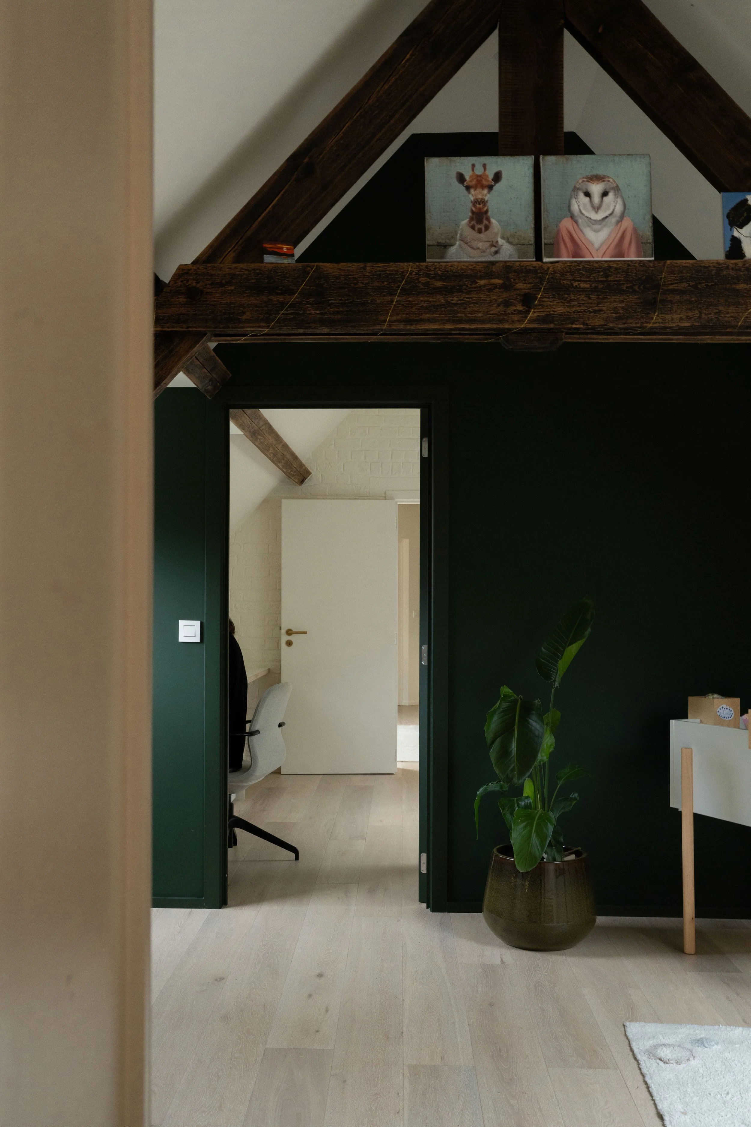 A7R01743.jpg