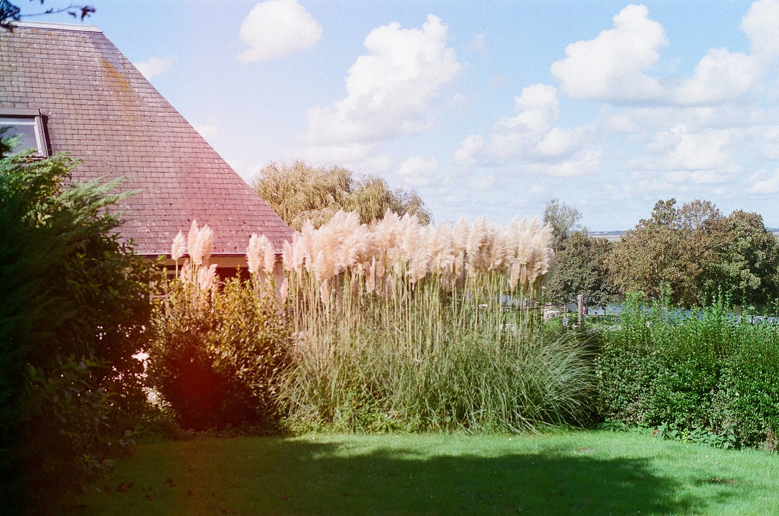 001127210024 1.jpg