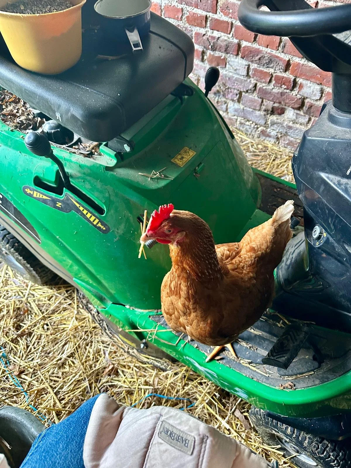 PHOTO-2026-03-19-22-14-05 2.jpg