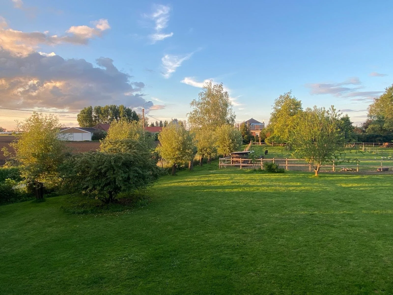 PHOTO-2026-03-19-22-12-35 3.jpg