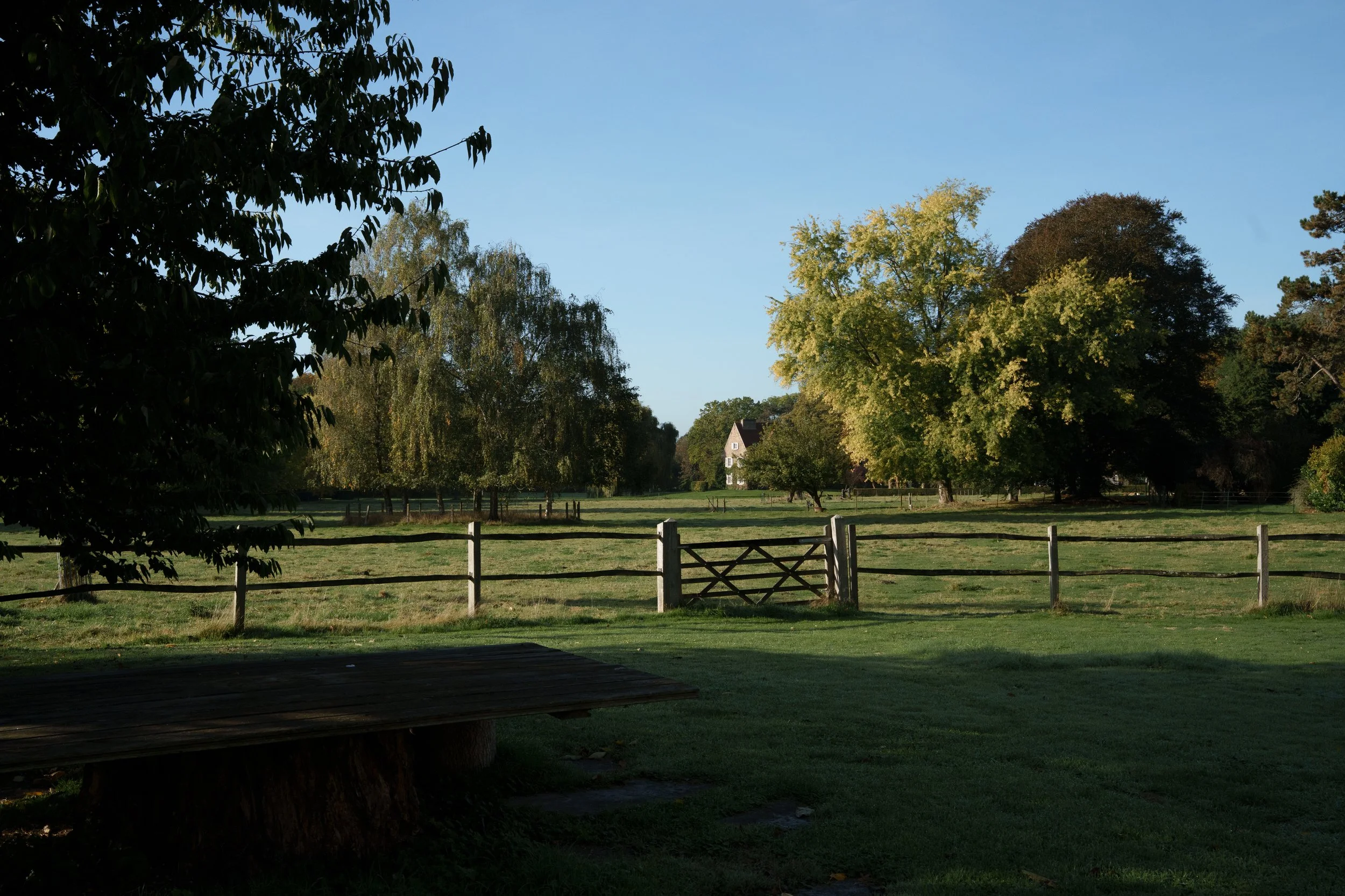 DSC05297.jpg