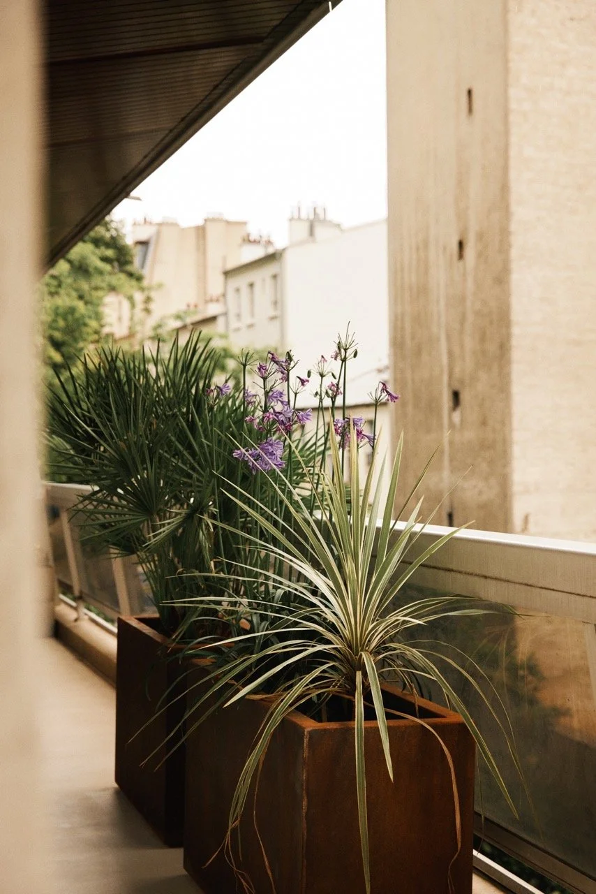 ST_MICHEL_V2_HD_ 88 - Grande.jpeg