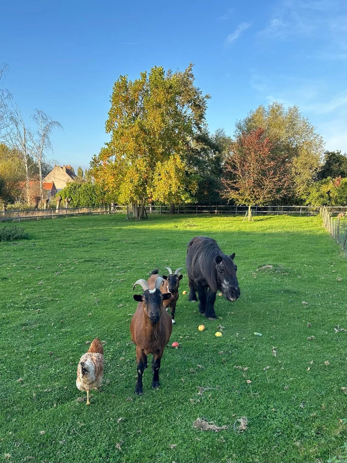 PHOTO-2026-03-19-22-12-35 6.jpg