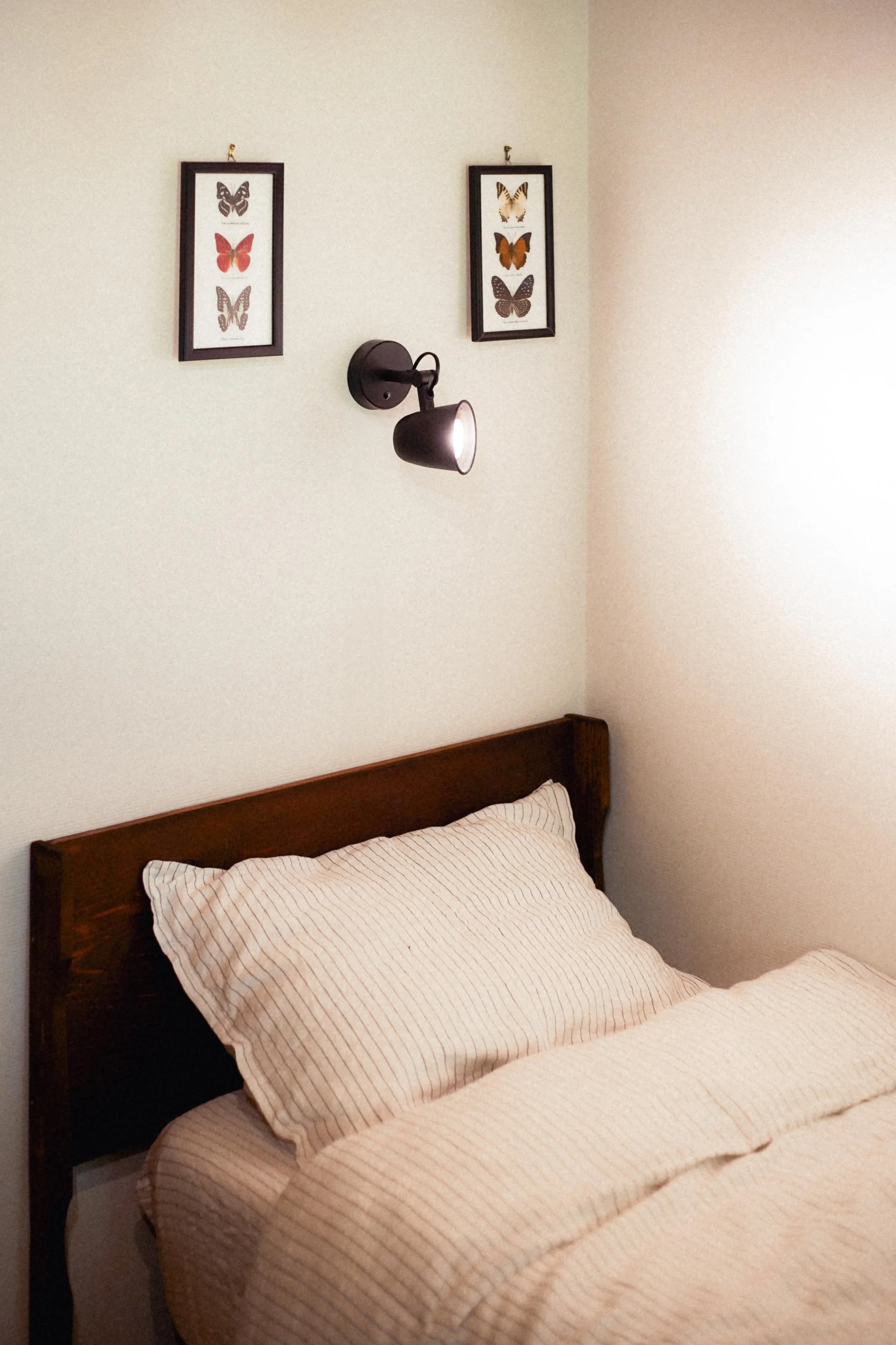 WhatsApp Image 2025-09-26 at 15.46.00.jpeg