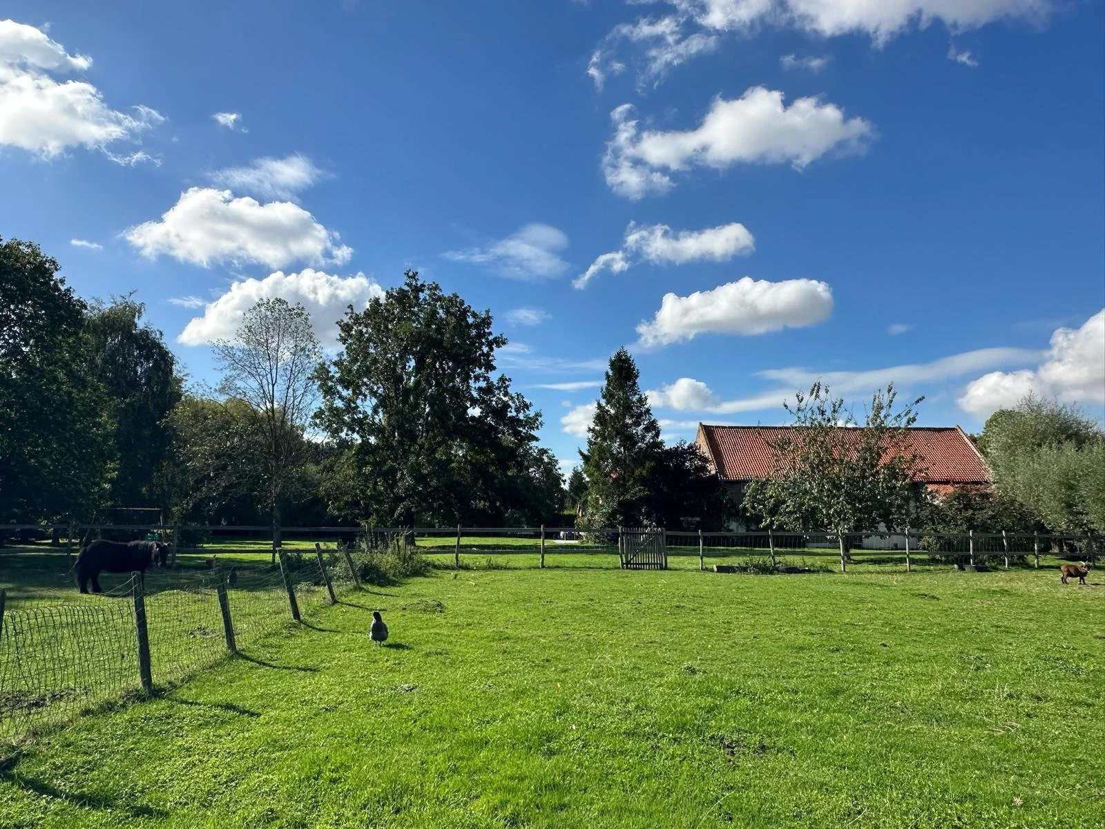 PHOTO-2026-03-19-22-12-35 5.jpg