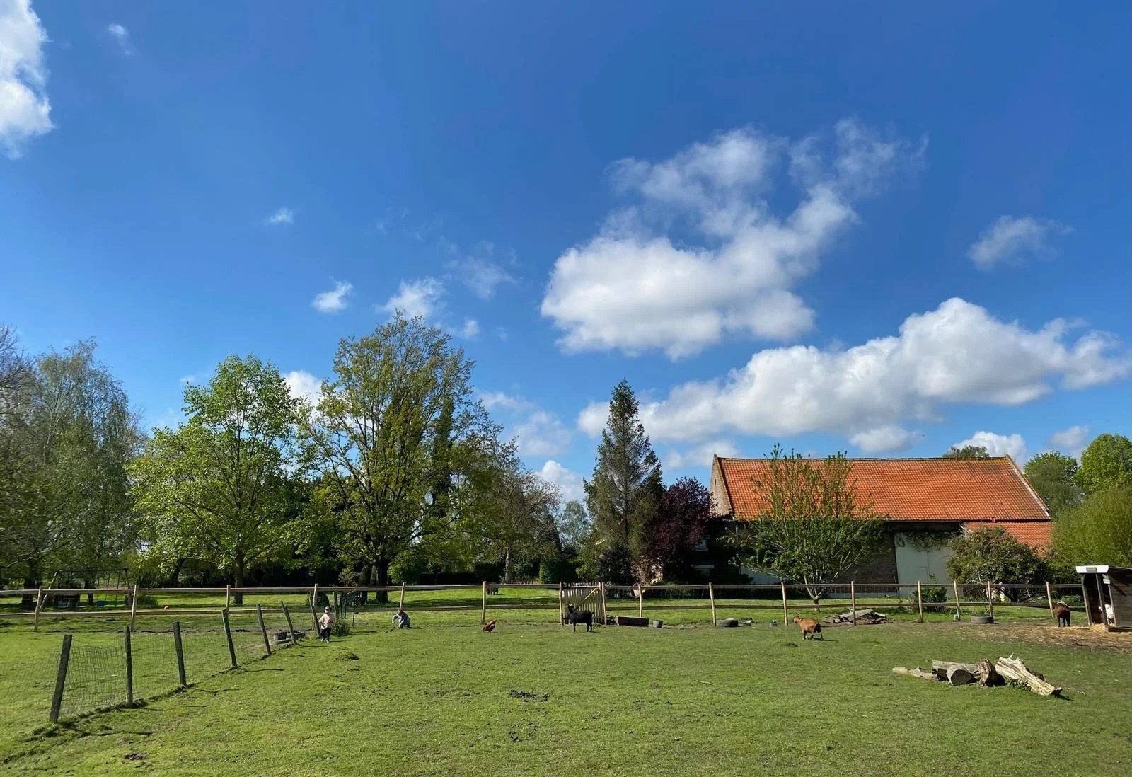 PHOTO-2026-03-19-22-12-35 4.jpg