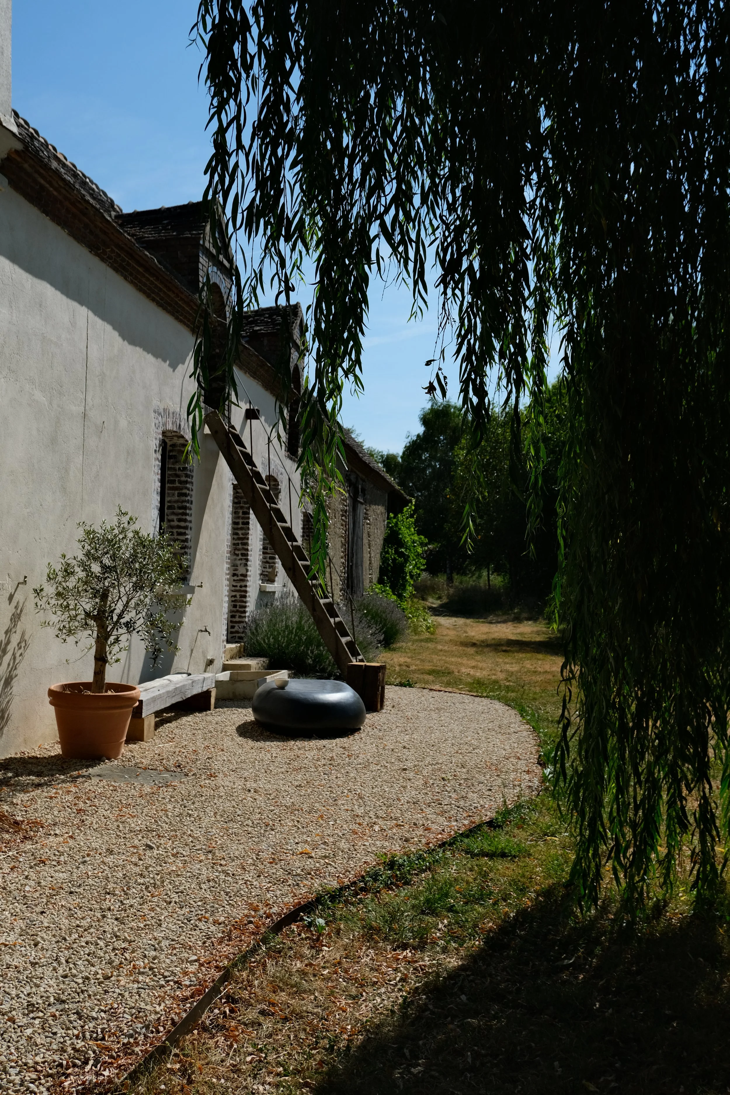 DSCF2664.JPG