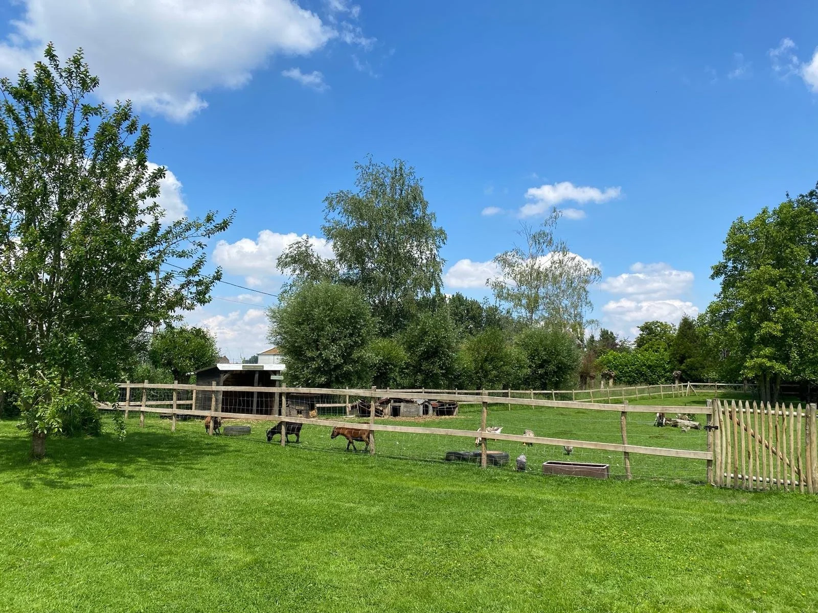 PHOTO-2026-03-19-22-12-35 2.jpg