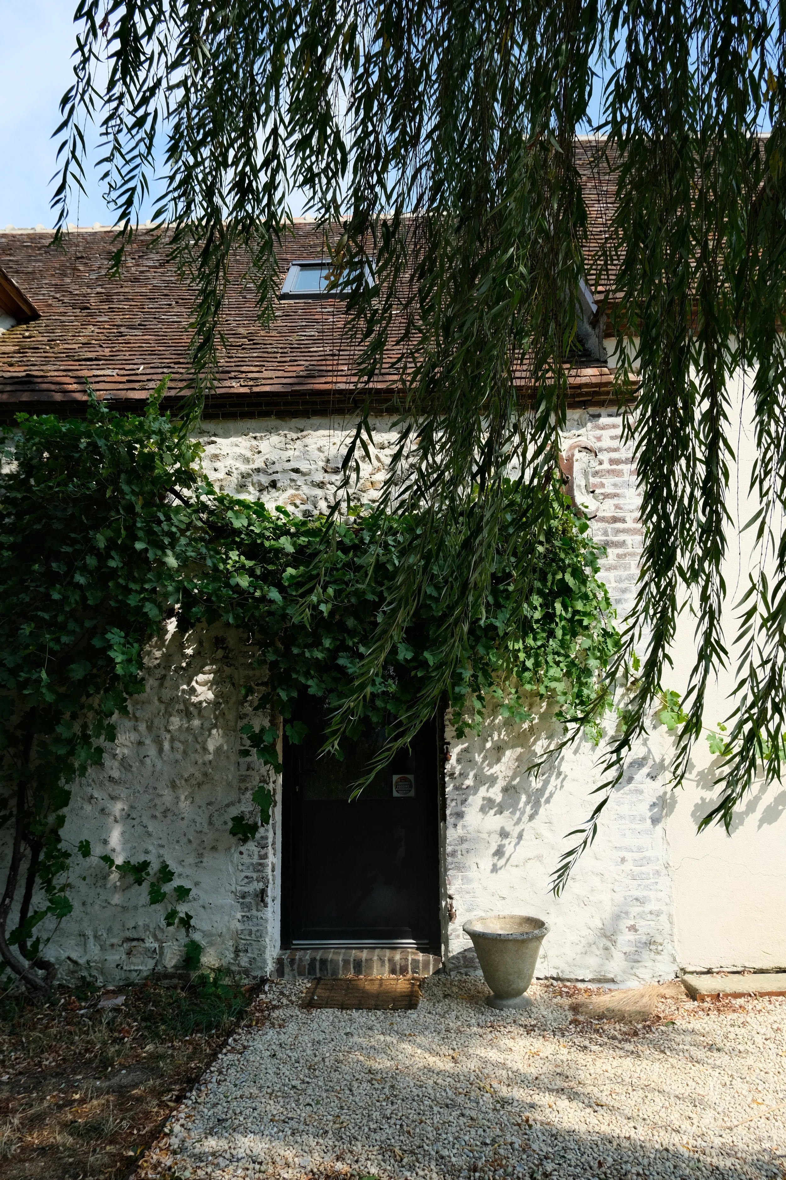 DSCF2699.JPG