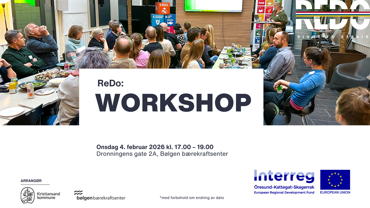 ReDo: Workshop