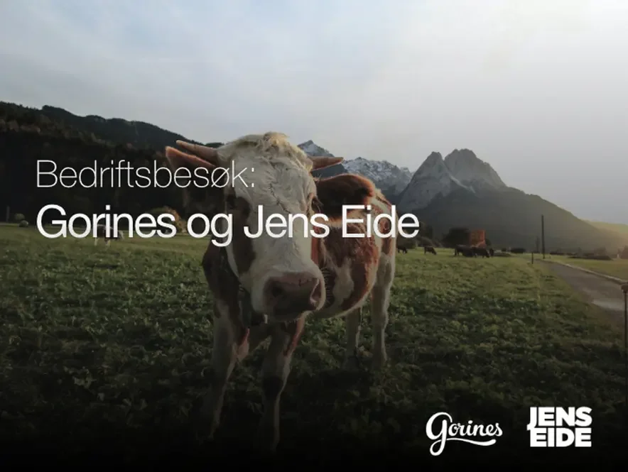 Bedriftsbesøk hos                     Gorines og Jens Eide