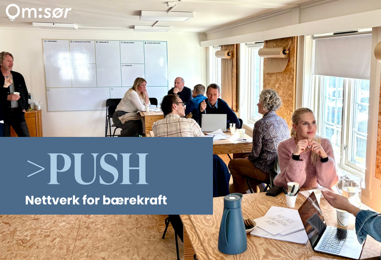 PUSH – Bærekraftsnettverk                  Høsten 2026