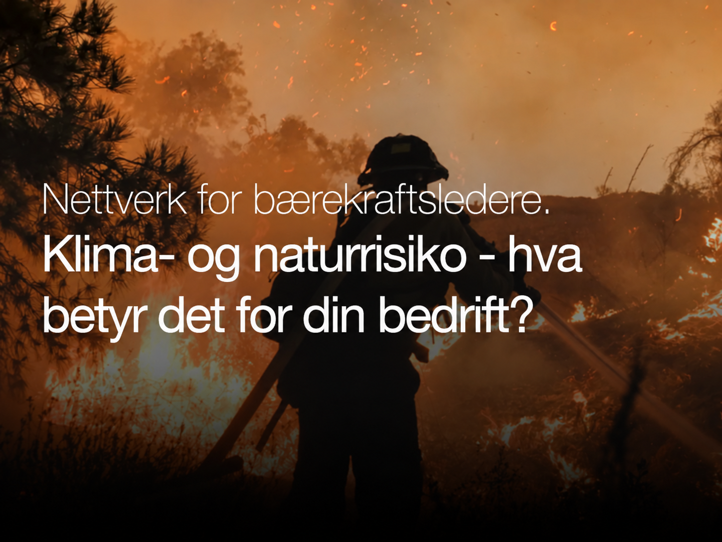 Klima- og naturrisiko: hva betyr det for din bedrift?