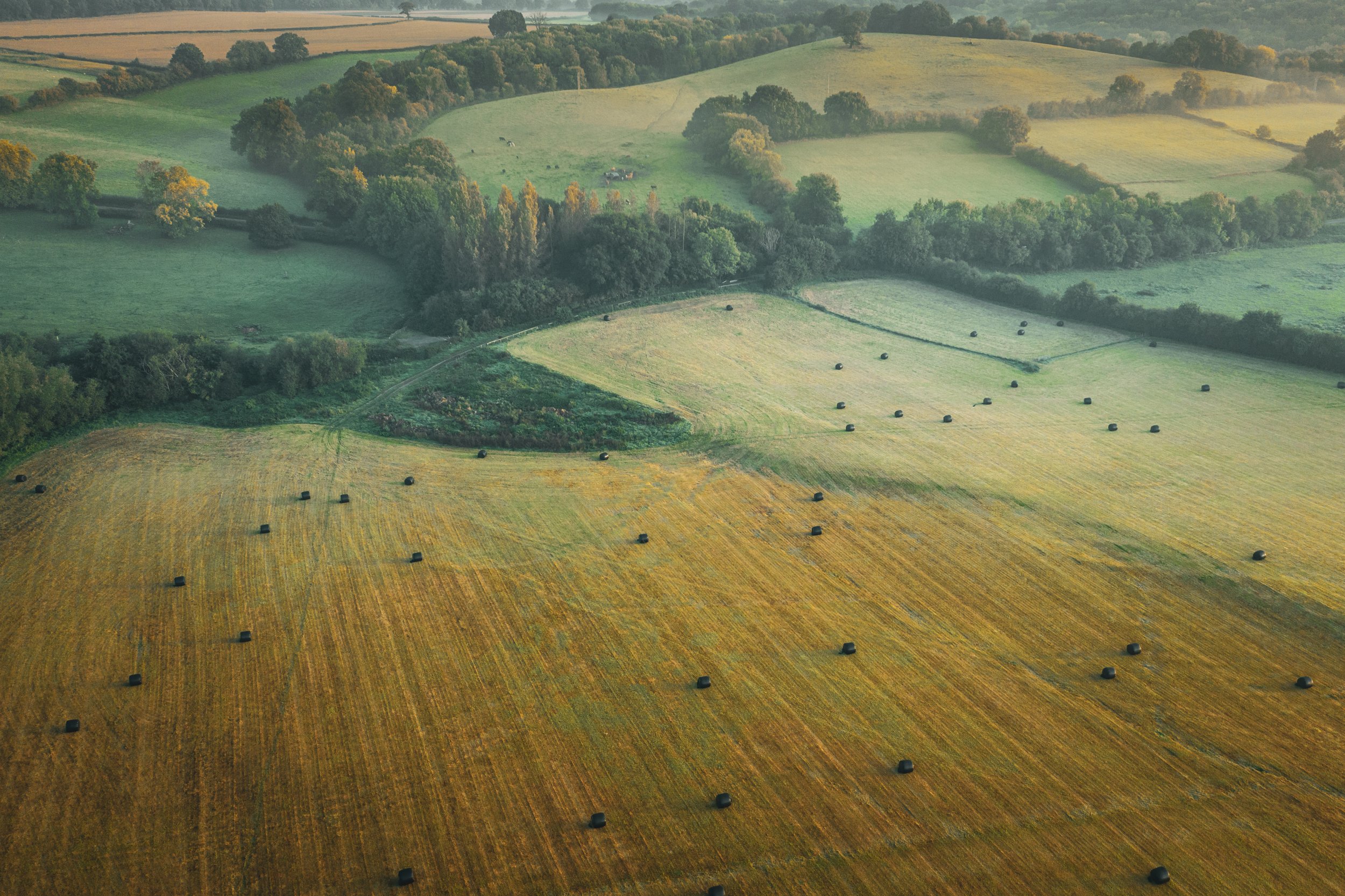 7 things Ecologists get wrong carrying out a Biodiversity Net Gain assessment in QGIS