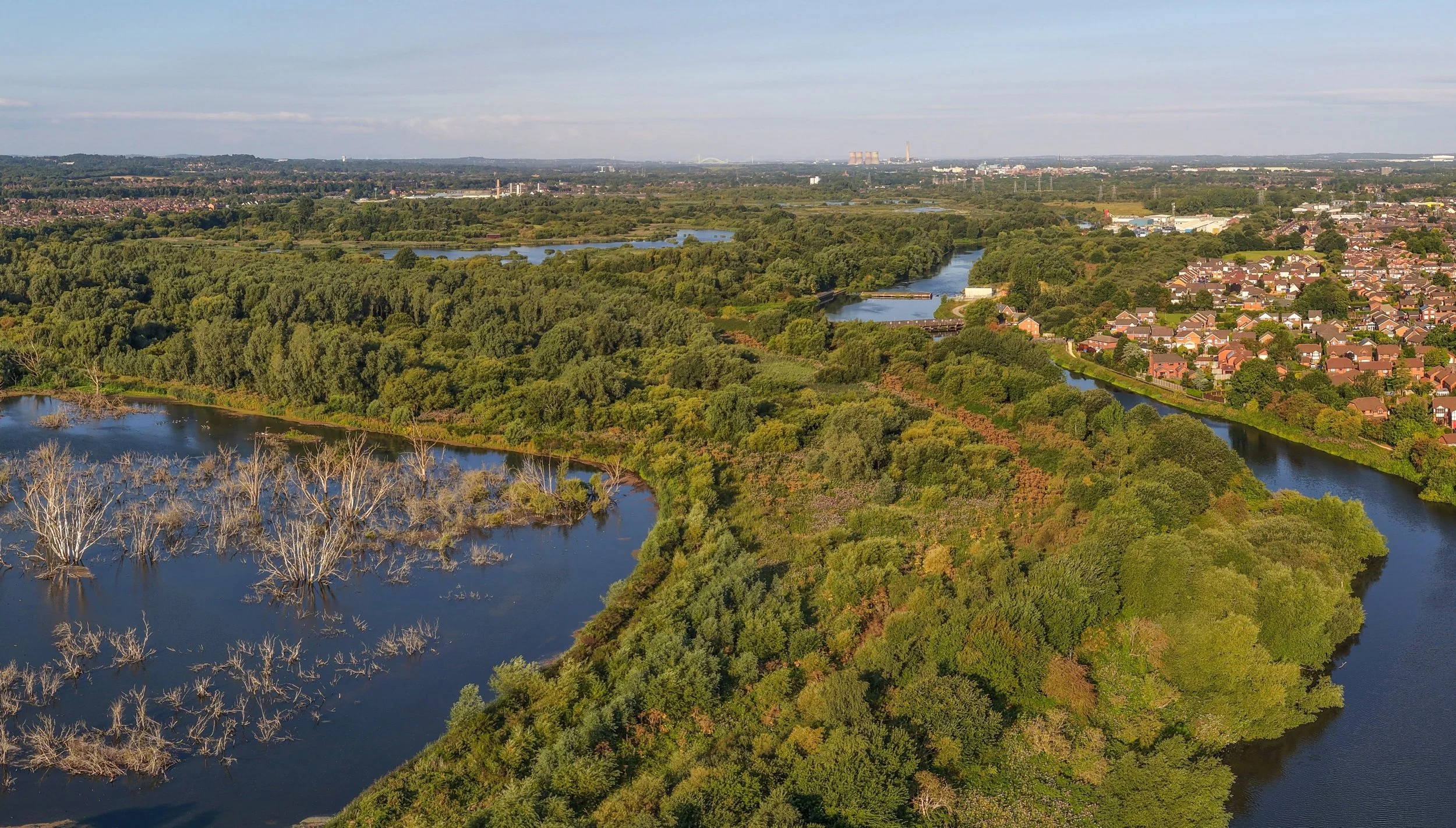 How Can QGIS Improve Great Crested Newt Surveys &amp; Pond Detection?