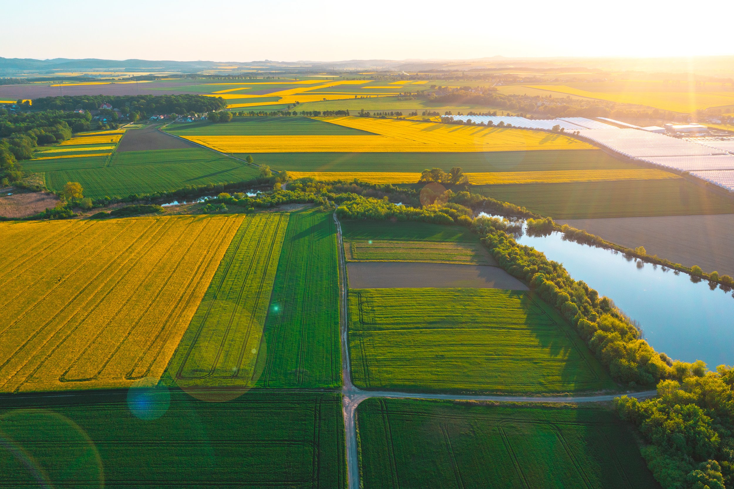 I’ve spoken to Ecologists (QGIS users) and Landscape architects (CAD users) and here’s how to improve collaboration and make Biodiversity Net Gain (BNG) Assessments quicker and easier.
