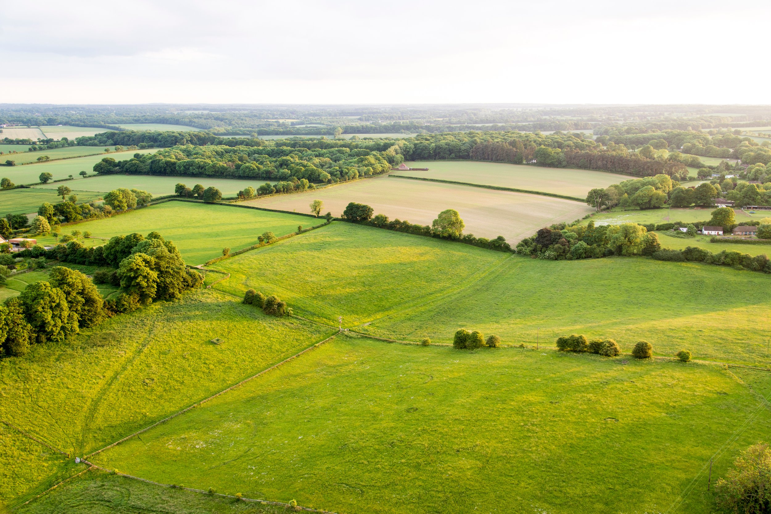 Here’s how to make your ecology mapping workflows accurate, efficient & standardised in time for next field season. PART 2: IT and Software.