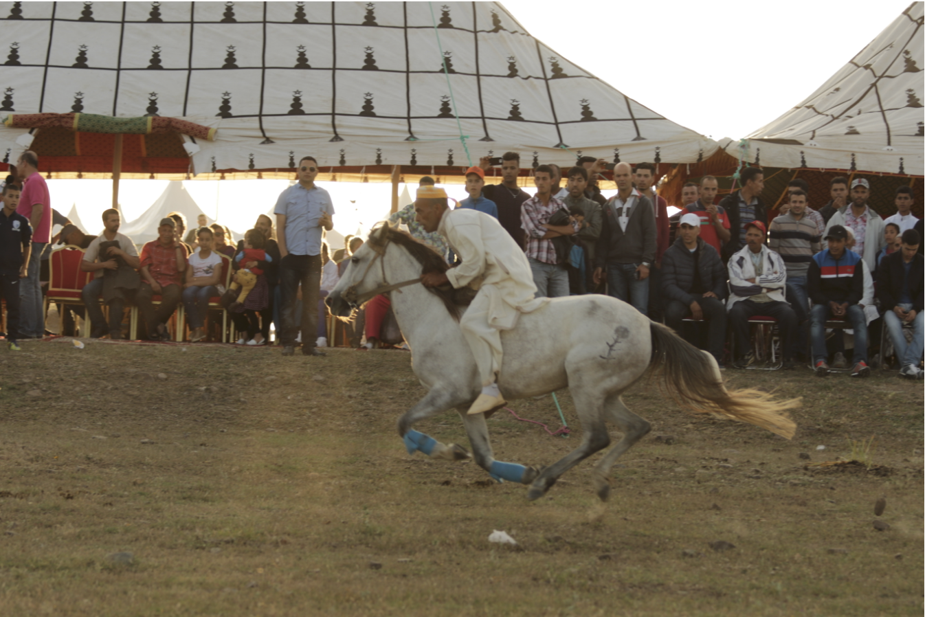 Inside Morocco's Wild Game of Horses, Riders, and a Puppet