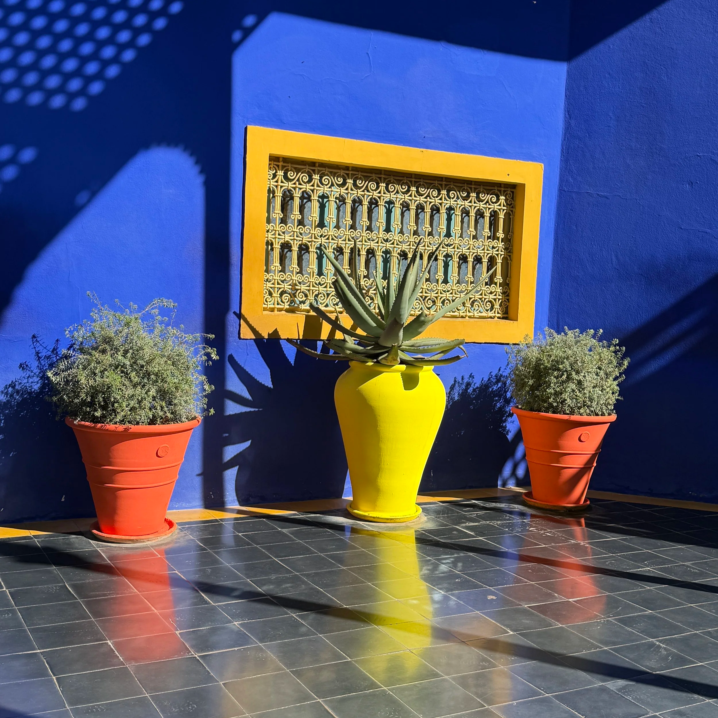 3 ceramic pots at the Majorelle Gardens in Marrakesh