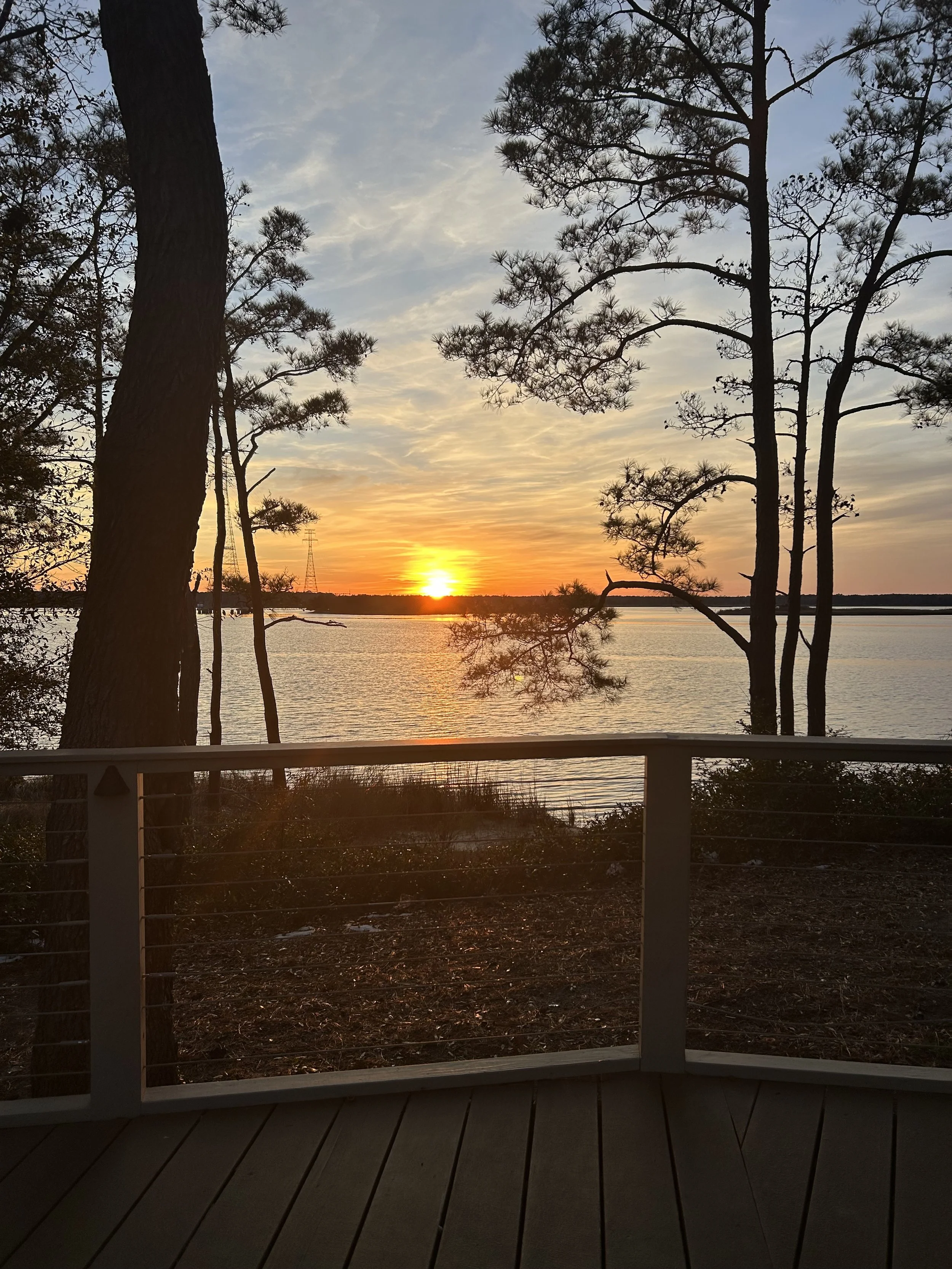 Summer Solstice ☀️