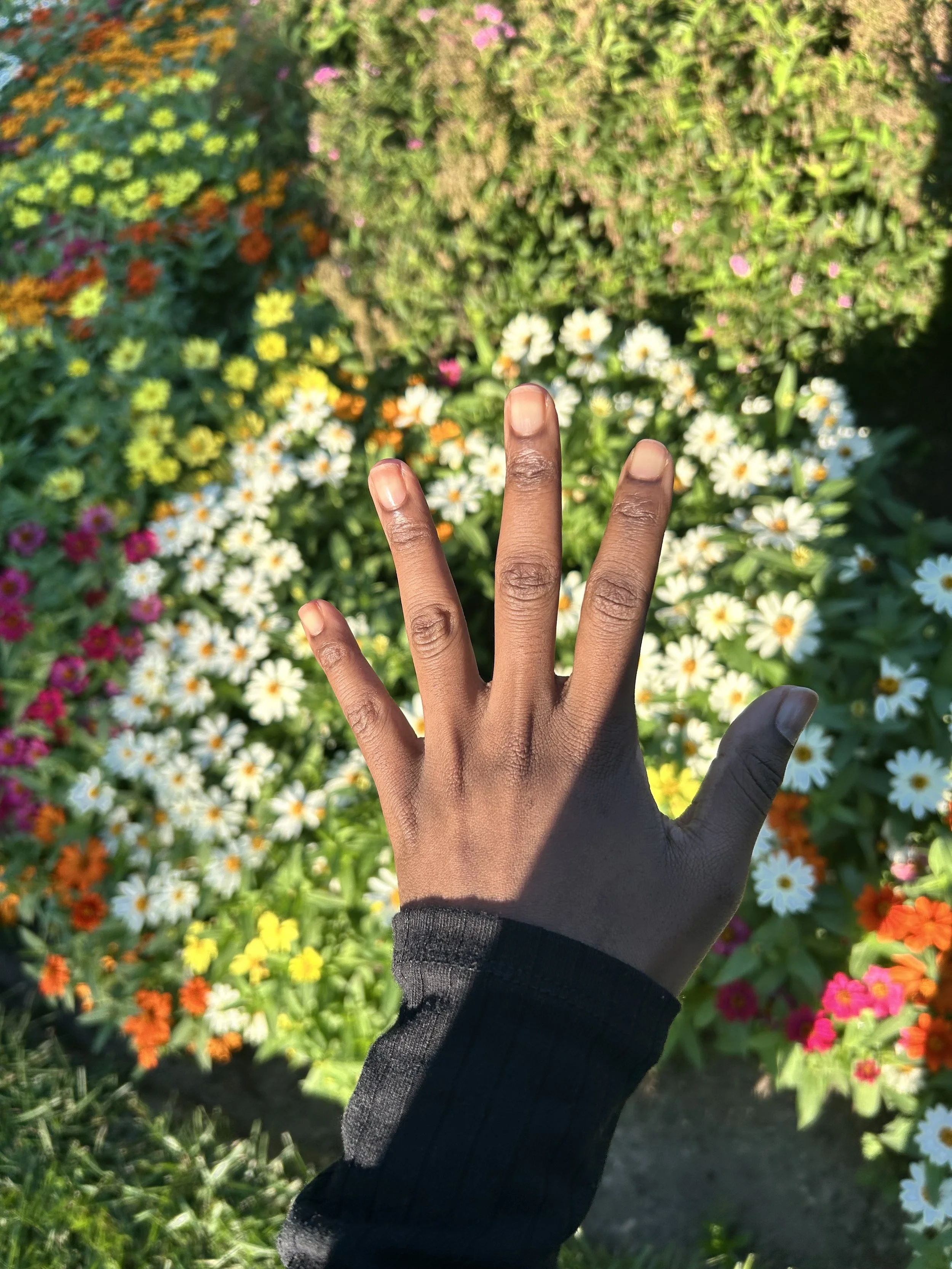 Starting a healthy nail journey - a holistic approach to repairing damage