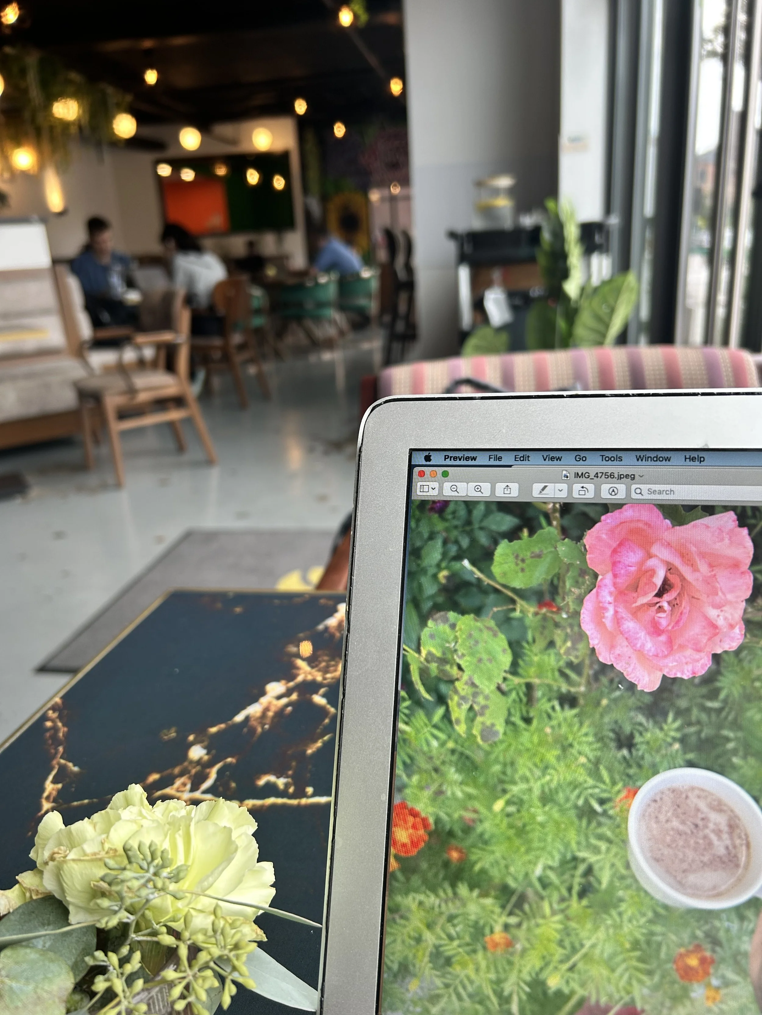 Spend a Sunday with me editing my fantasy novel&nbsp;