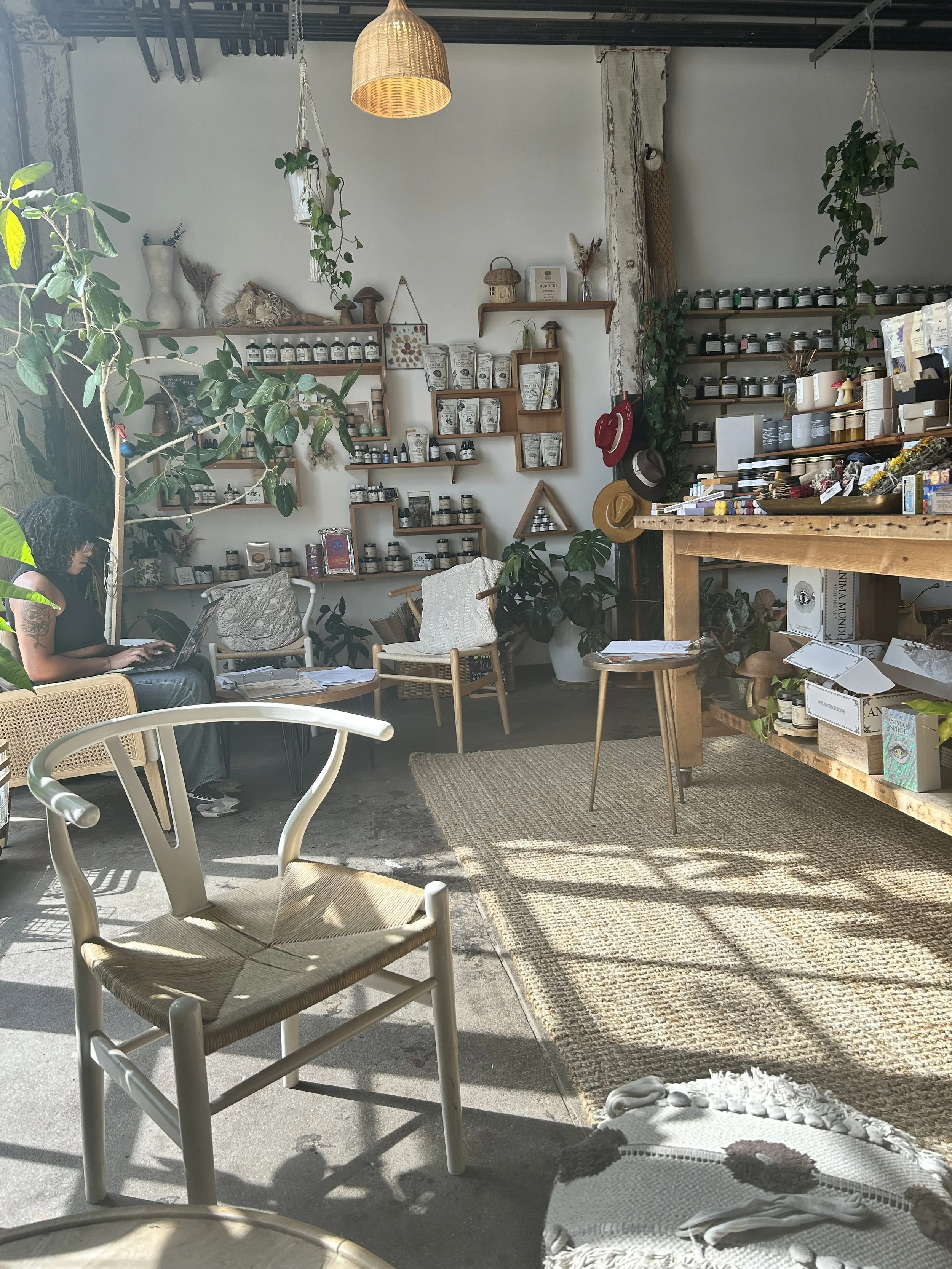 An afternoon in Brooklyn- apothecary (anima mundi), record store, Japanese art and food