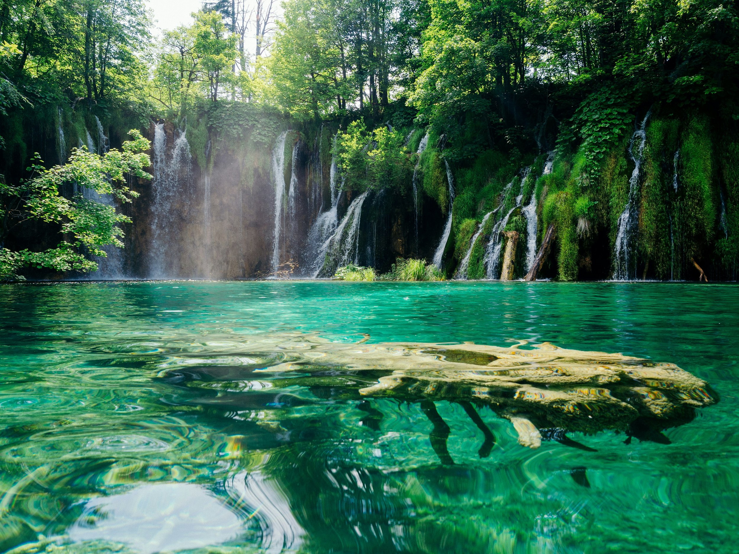 ante-hamersmit-SHqEPeNdOb0-unsplash.jpg