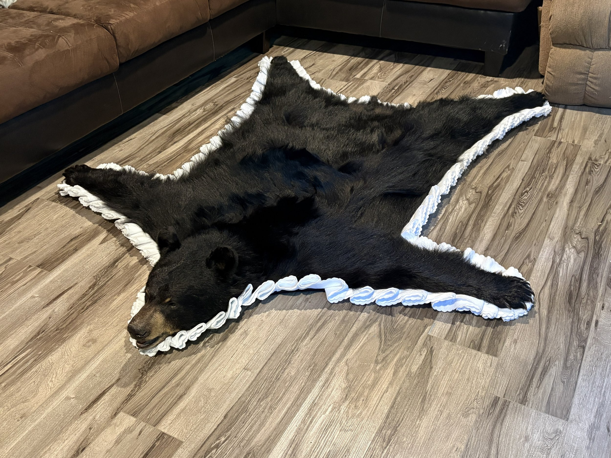 BEAR RUG.jpeg