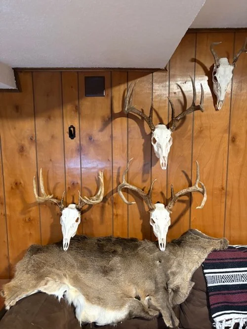 skulls 2025.01.04.jpeg