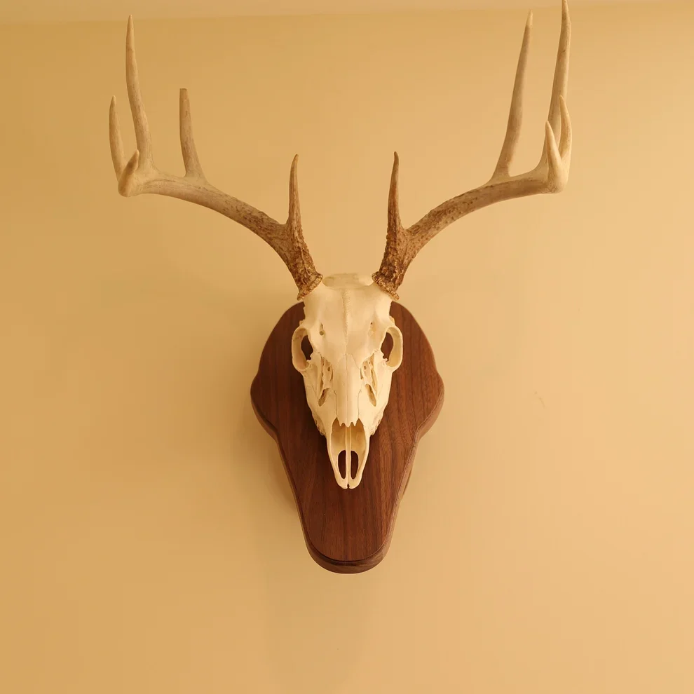 Standard pedestal wall or tabletop mount walnut.webp