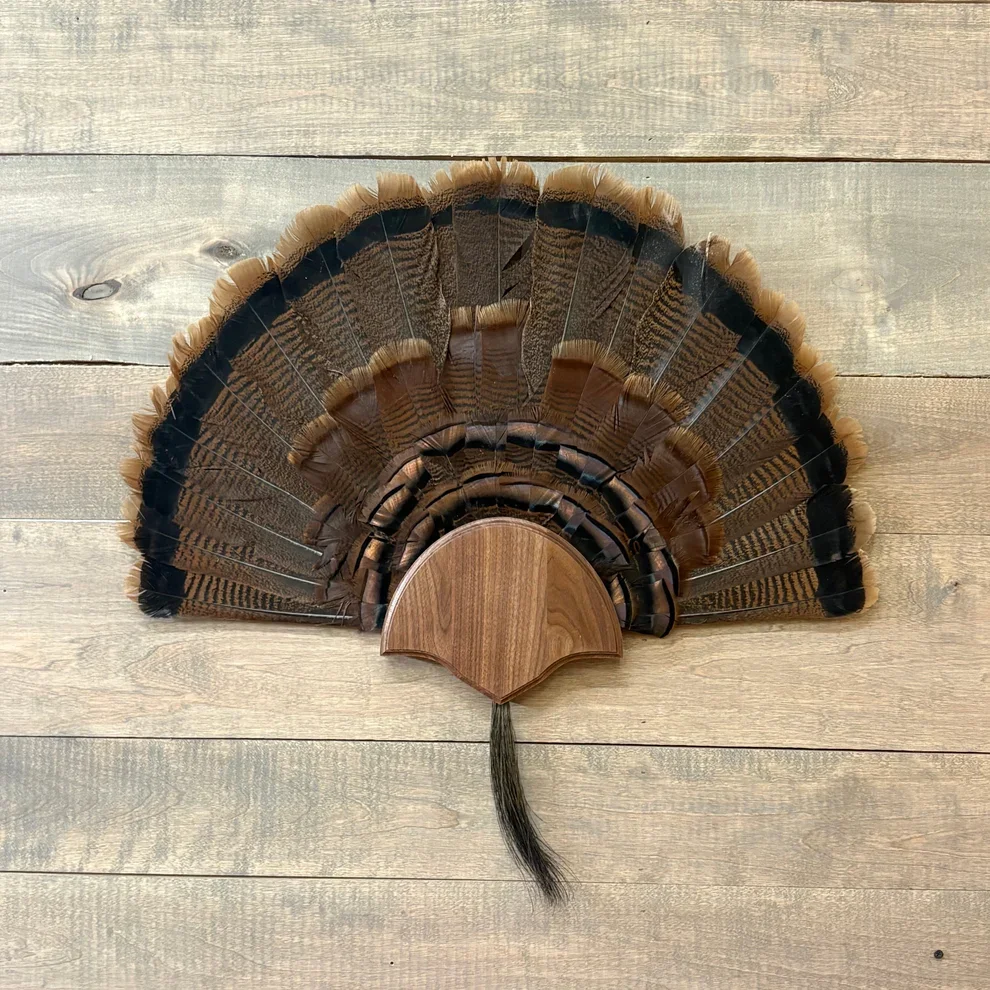turkey half 2.webp