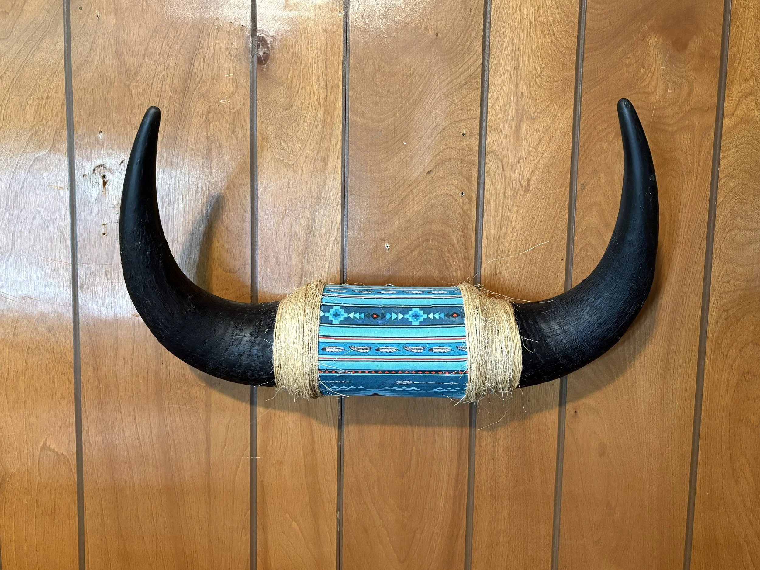 bison turq.jpg
