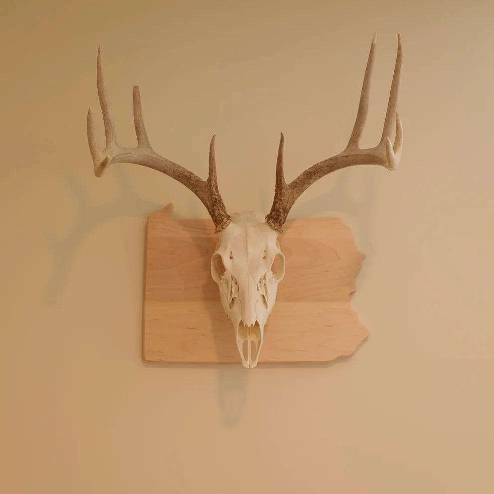Maple European State Mount Plaque.webp