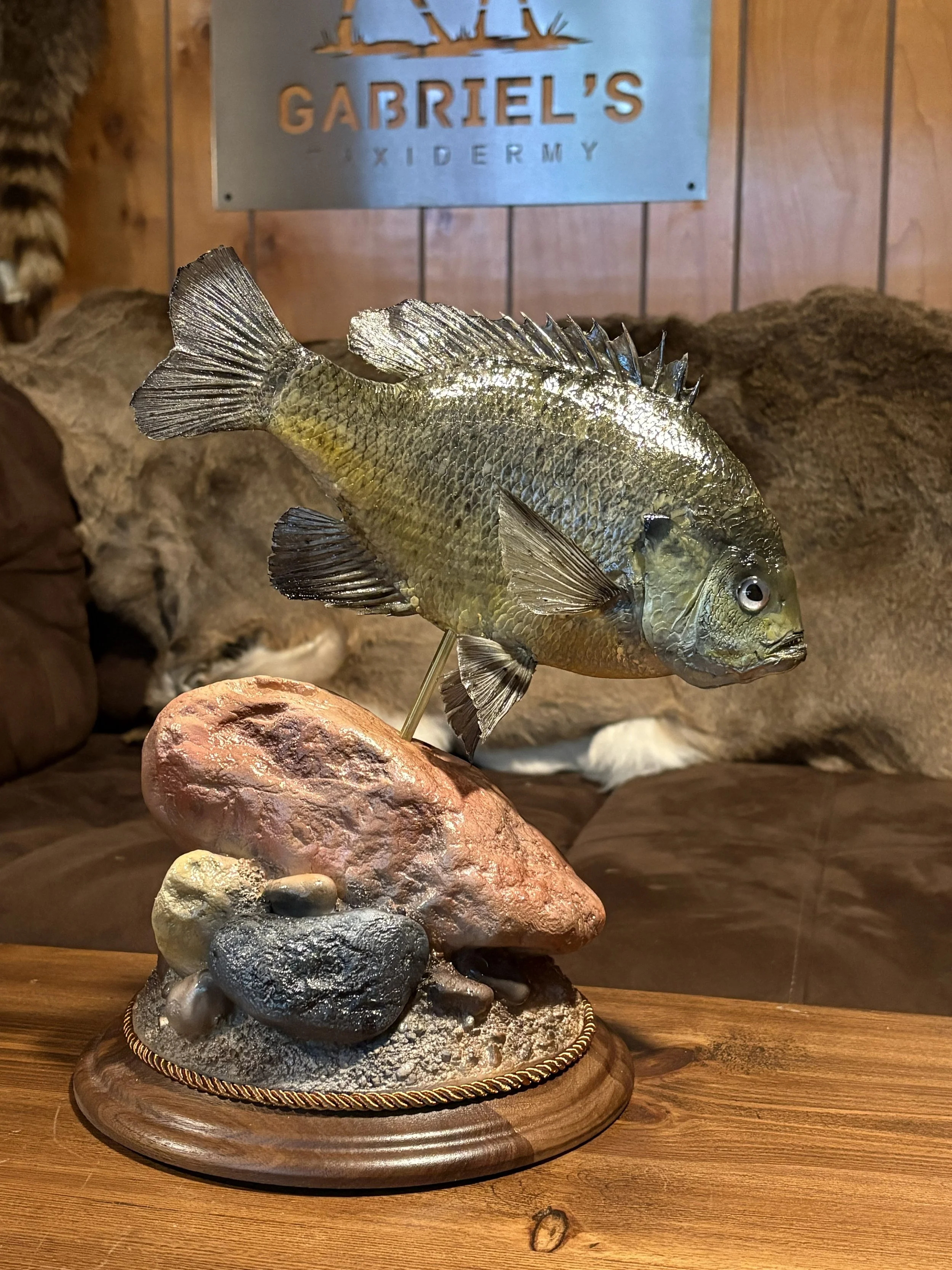 Fish Skin Mounts