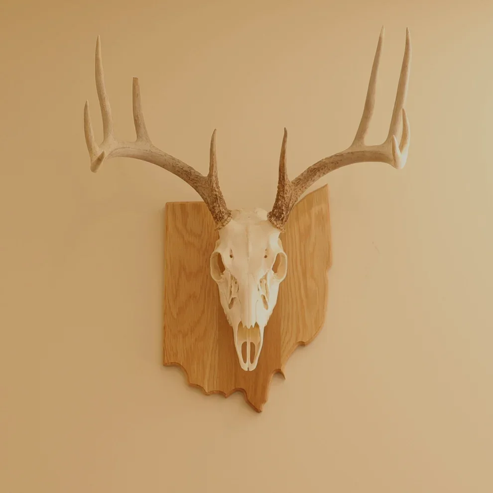 Oak European State Mount Plaque.webp