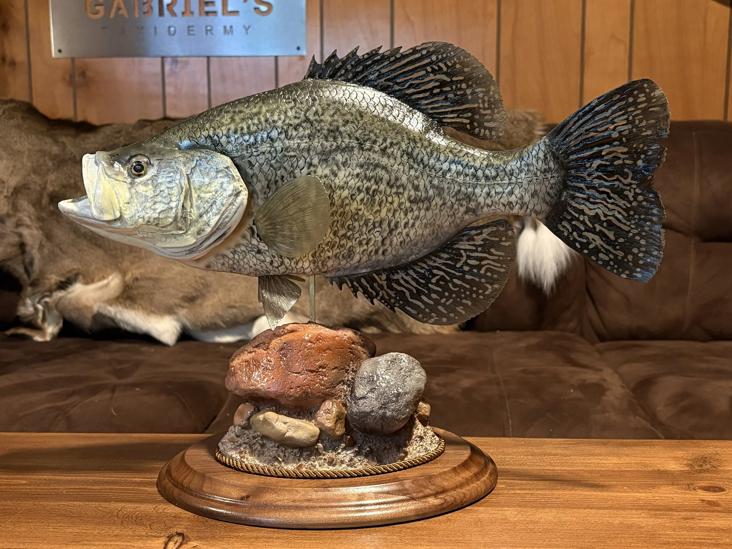 Fish Replicas