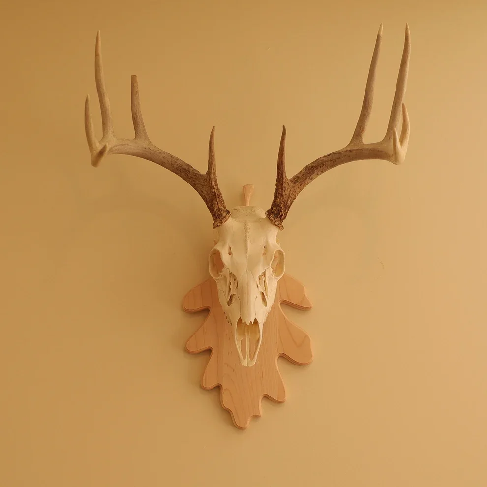 -Oak leaf wall skull mount display.webp