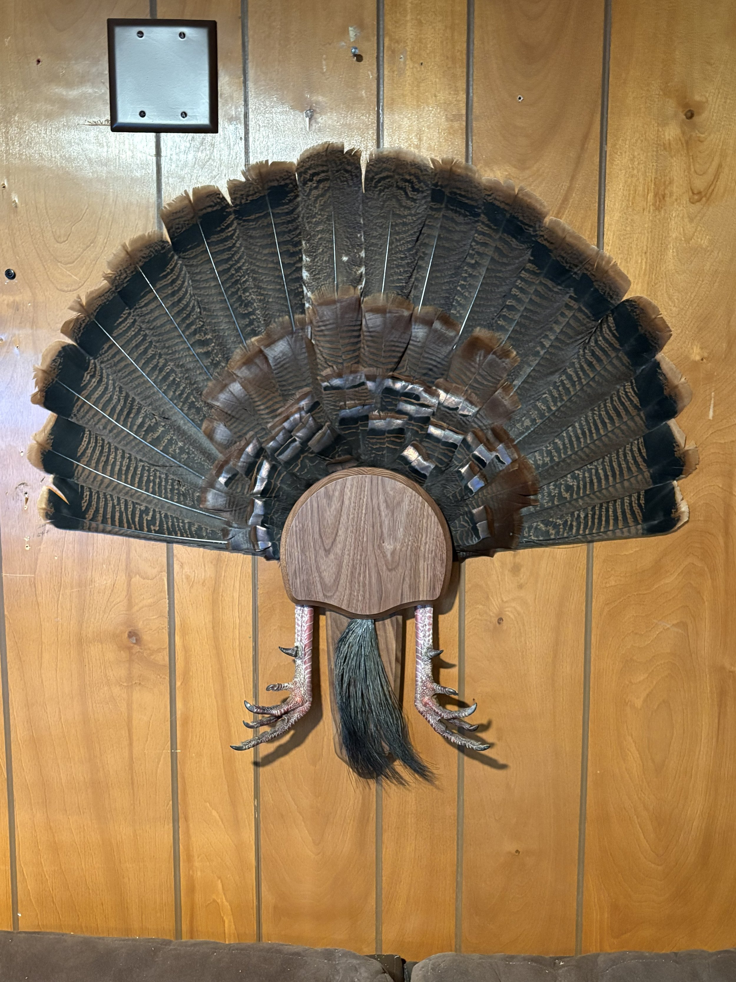 Turkey Fan.jpg