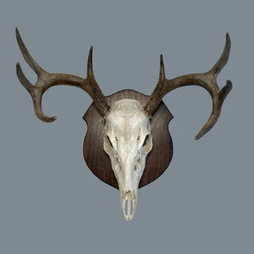 Continental European Panel with deer.webp