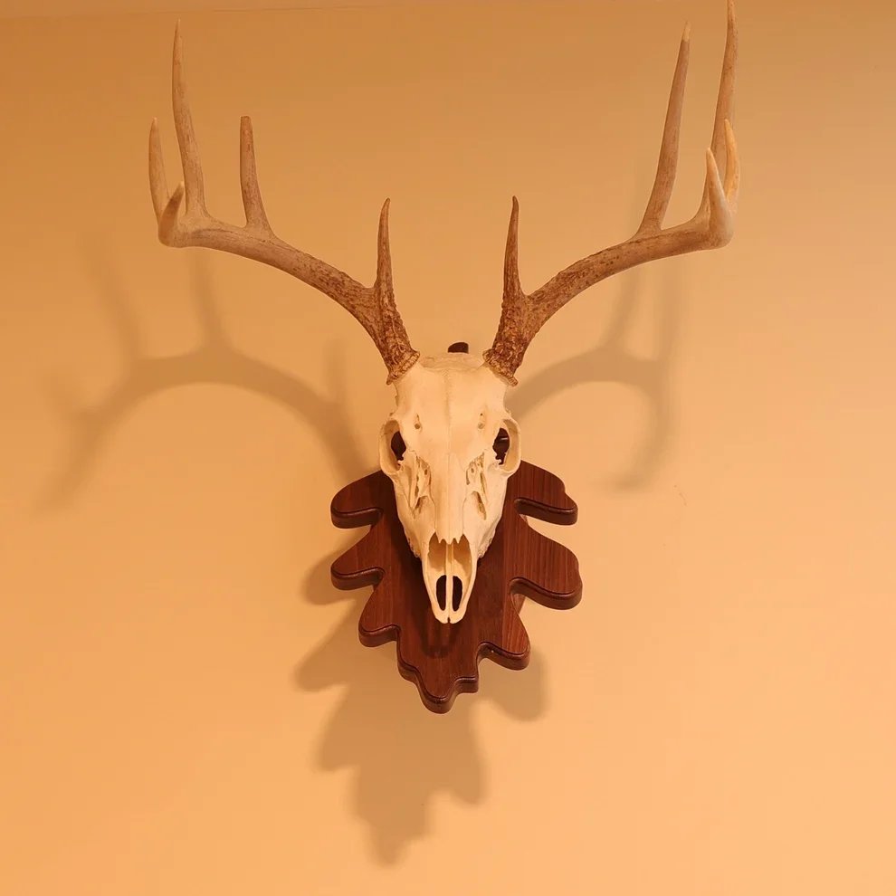 Leaf pedestal wall or tabletop mount walnut.webp