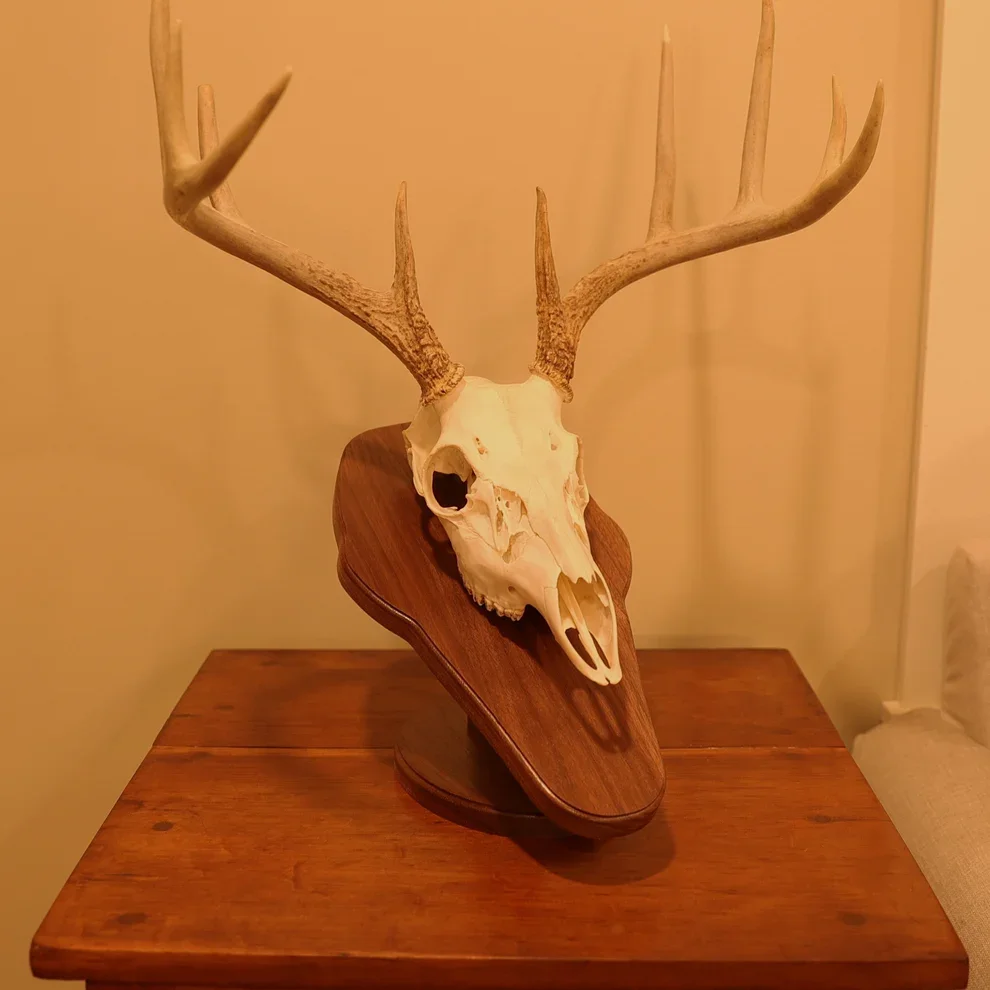 Standard pedestal wall or tabletop mount table.webp