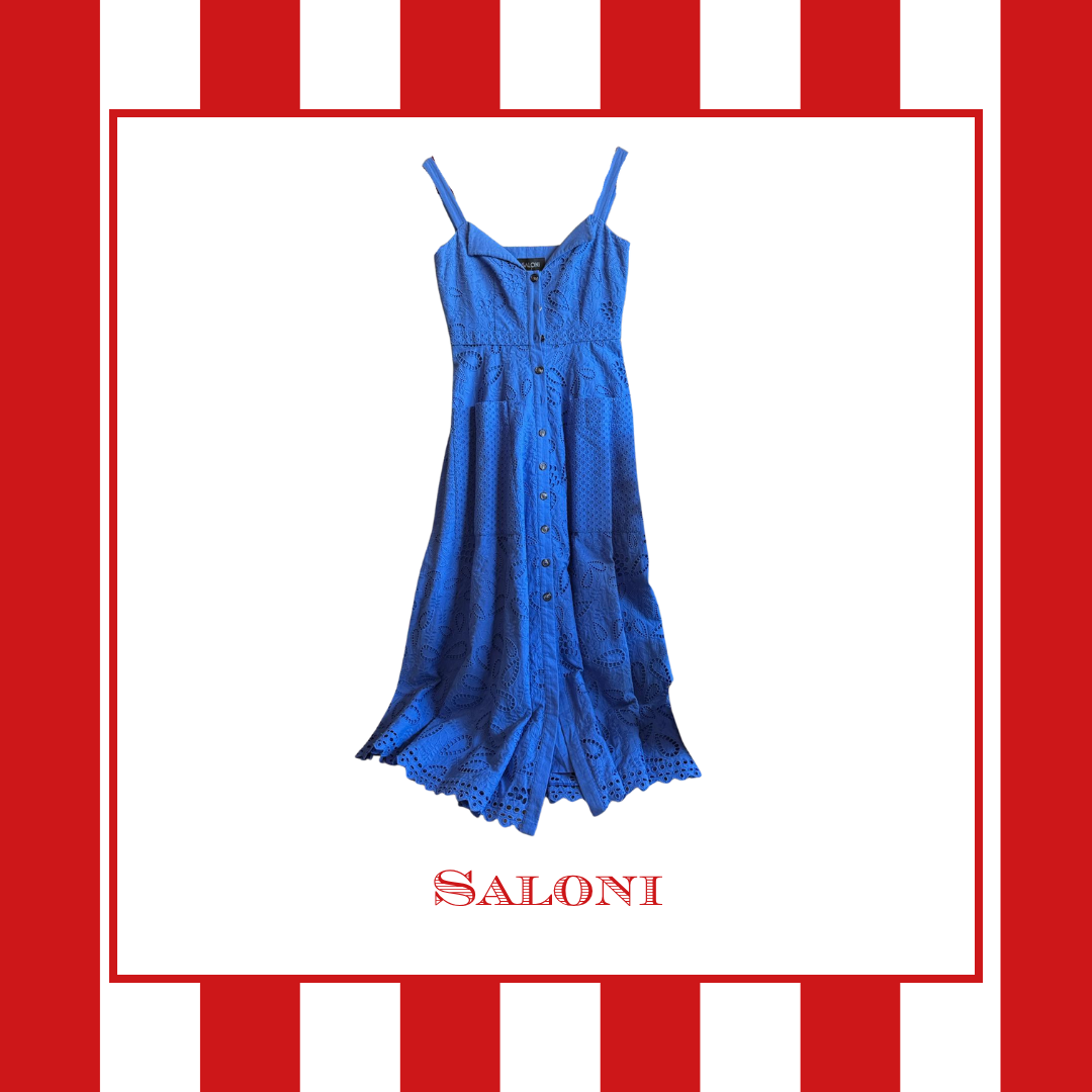 Saloni Blue Dress