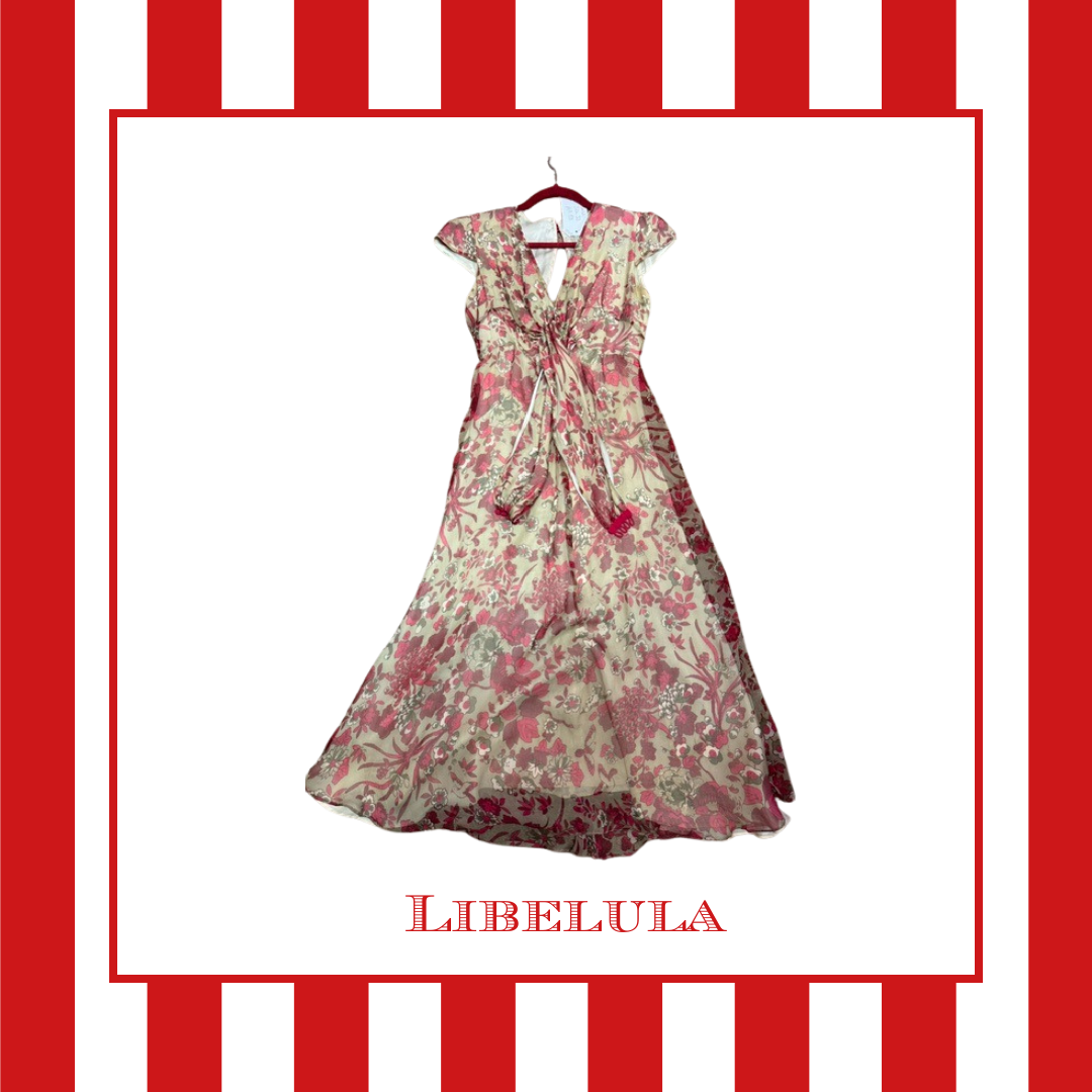 Libelula Dress, Size 38