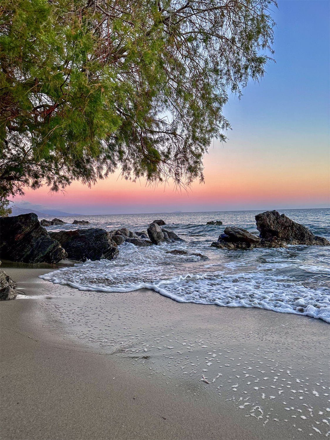 FullSizeRender 2.jpg