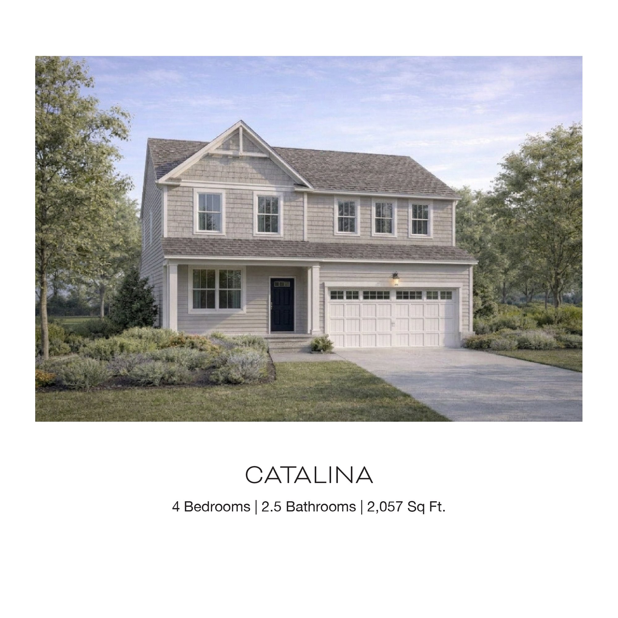 Catalina.jpg