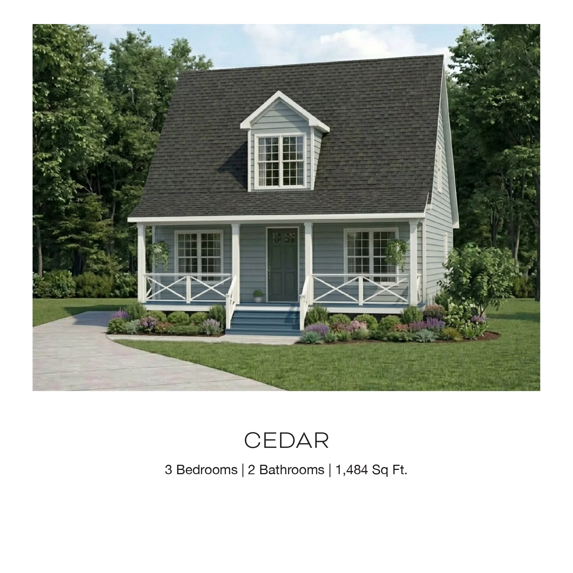 Cedar.jpg
